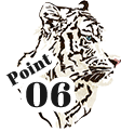 Point06